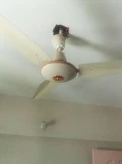 Ceiling Fan 56" for sale