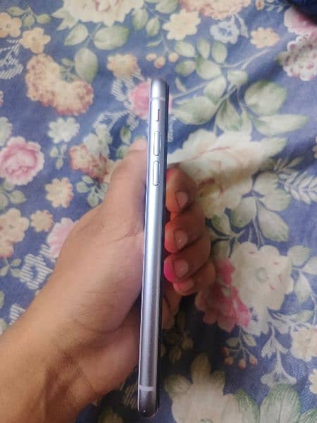 iphone 11 jv non pta 10/10 condition urgent sales 2