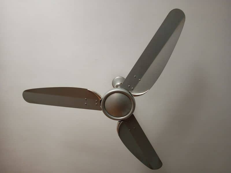 Royal Fan Silver color (Slightly used) 3