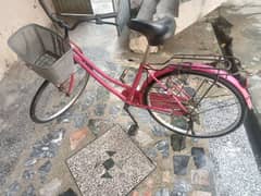 Japani cycle imported from Dubai