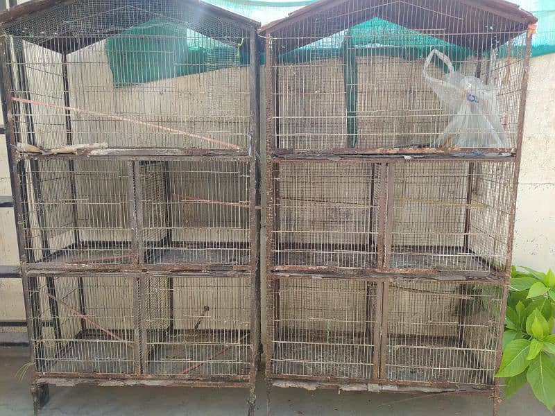 5 Portions 2 Cages Used 0