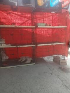 used cages 8 khanay 2 tower available for sale  call 03335685956