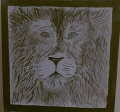 canvas Lion Sketch (black grey white lion)