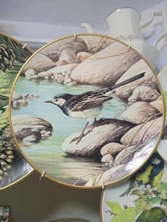 bird design plate