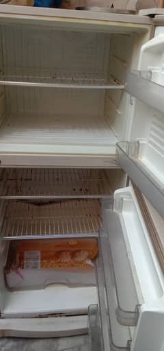 Fridge