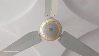 Ceiling Fans For Sale