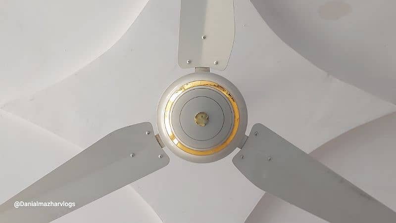 Ceiling Fans For Sale 0