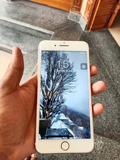 iPhone 7 Plus    256gb   03111265926