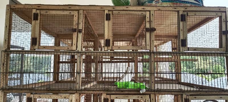 12 Portion Wooden Cage 4