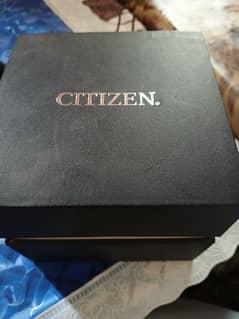 Citizen Orginal Watch