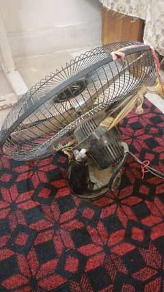 GFC  Bracket Fan 03072345664