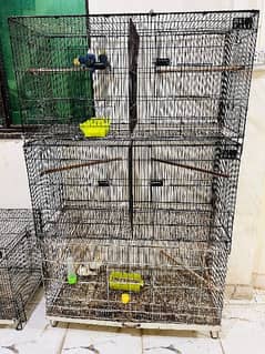 Complete Setup For Sale Cages.