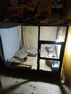 Good condition cage for sale