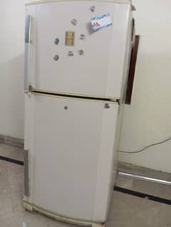 fridge L block lahore