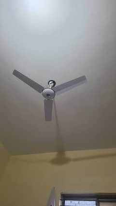 Wahid Ceilling Fan Almost Brand New Copper Fan