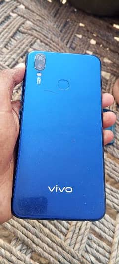 vivo