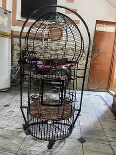 Birds Cage