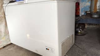 Haier D freezer 0309899729 0