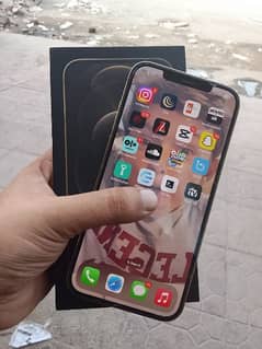 Iphone 12 pro max (128gb)