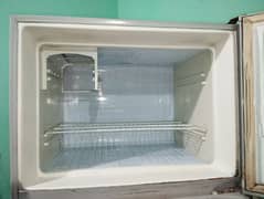 WAVES full/jumbo size fridge