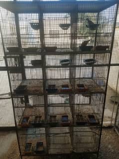 12 portion birds cage