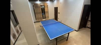 Table tennis table butterfly