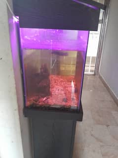 fish aquarium for sale . .