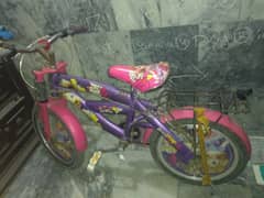 SOFIA Bicycle GOOD CONDITION 03153527084