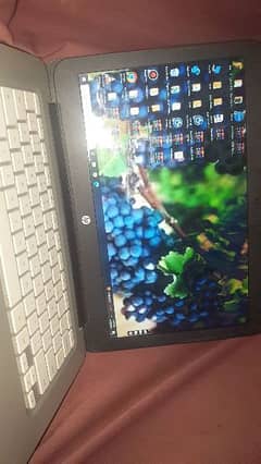 hp chrome book installed window 10 pro