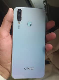 vivo