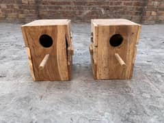 Birds boxes