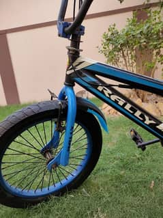 Imported Rally 20 Inch Freestyle BMX Bicycle