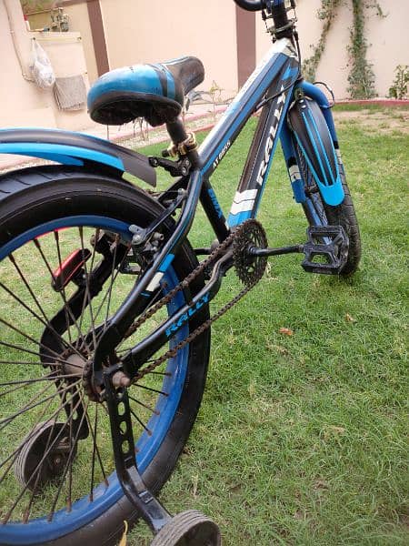 Imported Rally 20 Inch Freestyle BMX Bicycle 4