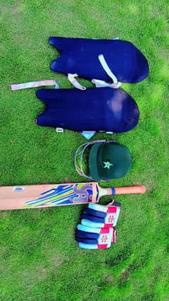 Hard ball bat, Pads, Gloves, Helmet. Safeguard.