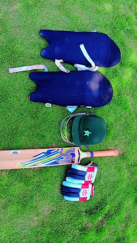 Hard ball bat, Pads, Gloves, Helmet. Safeguard. 0