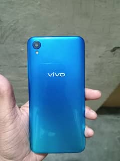 vivo