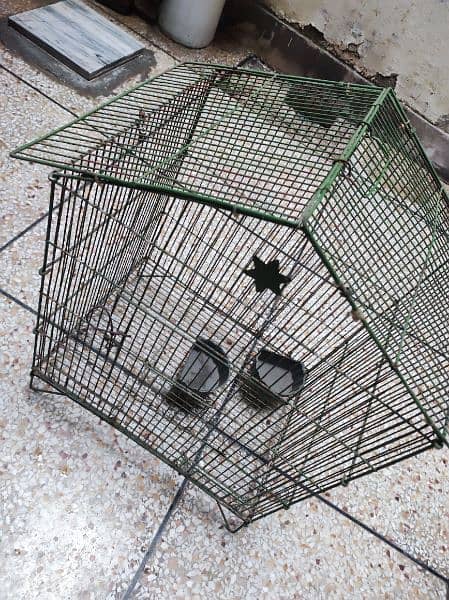 Cage For Parrots 1