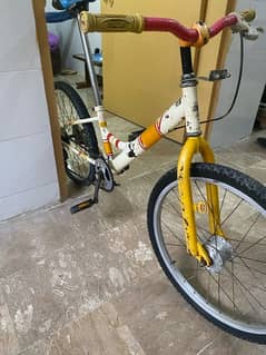 22- Mountain Peche bicycle