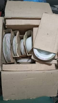 Shinon Melamine 76-Piece Dinner Set:(Msg on WhatsApp. . . For Video)