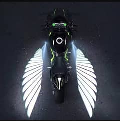 Wing light