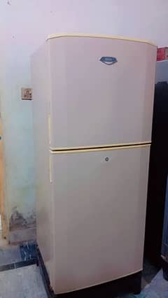 haier fridge