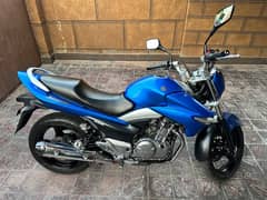 suzuki inazuma 250cc (new)