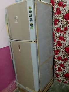 Fridge