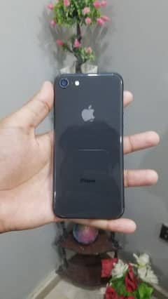 iPhone 8 factory unlock 64 gb no open no repair