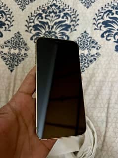 Iphone 12 Pro 256 Gb Non Pta