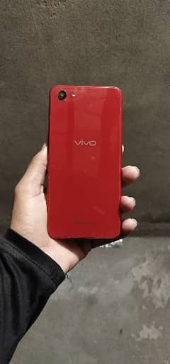 vivo