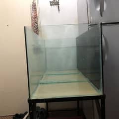 Fish aquarium