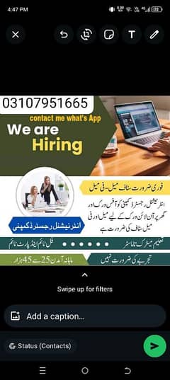 male and female staff required for online work and office work