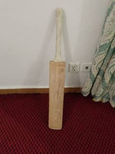 best bat in best price