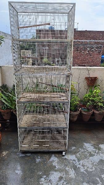 iron Cage Good condition 1